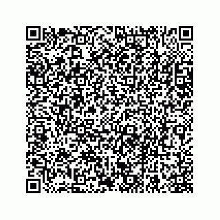 vCard 78663740611