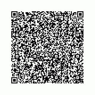 vCard 78663740627