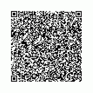 vCard 78663740631