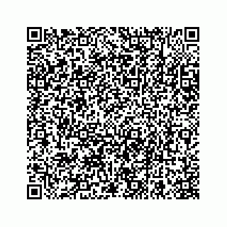 vCard 78663740633