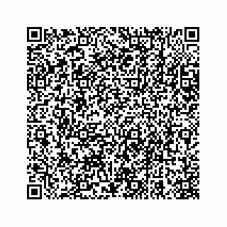 vCard 78663740729