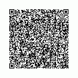 vCard 78663740736