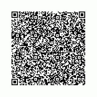 vCard 78663740771