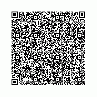 vCard 78663740795