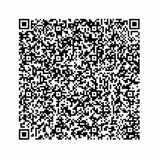 vCard 78673296281