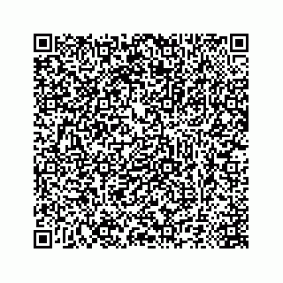 vCard 78673296385