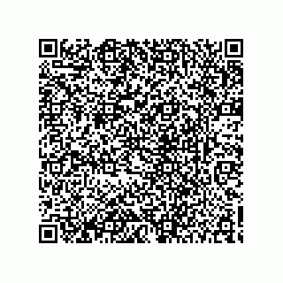 vCard 78722533329