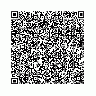 vCard 78725220080