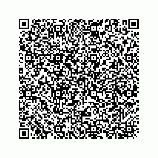 vCard 78734728100