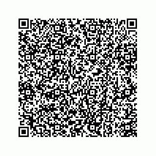 vCard 78782250313