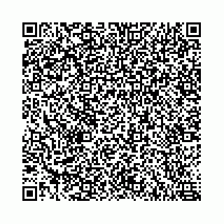 vCard 78787021100