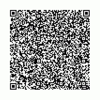 vCard 78787021103