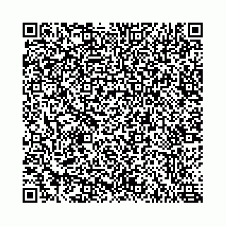 vCard 78787021133