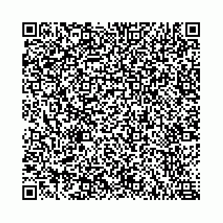 vCard 78787021137