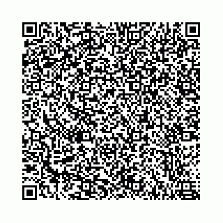 vCard 78787021173