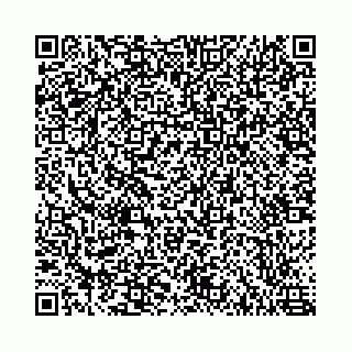 vCard 78787021181
