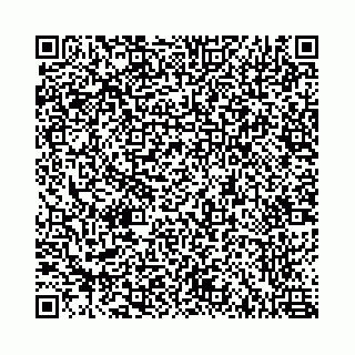 vCard 78787021272