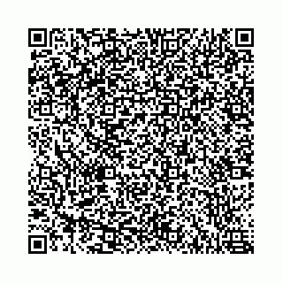 vCard 78787021302