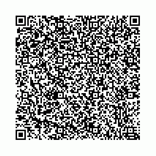 vCard 78787021303