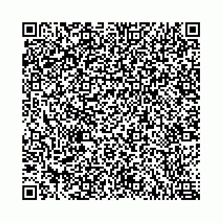 vCard 78787021305