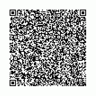 vCard 78787021311