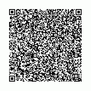 vCard 78787021319