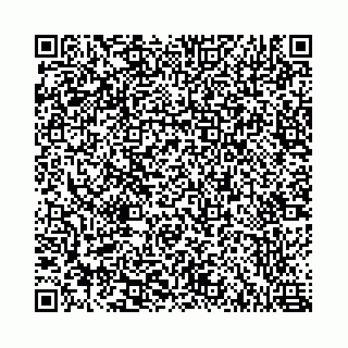 vCard 78787021332