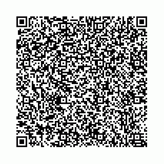 vCard 78787021333