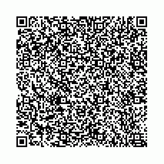 vCard 78787021335