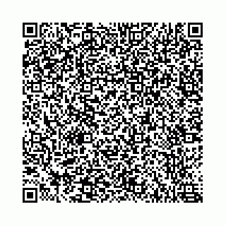 vCard 78787021337