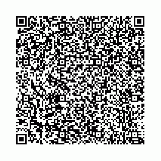 vCard 78787021353