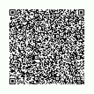 vCard 78787021380