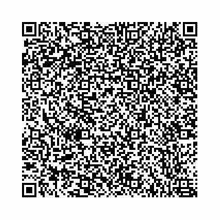 vCard 78787021381