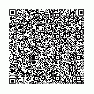 vCard 78787021383