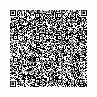 vCard 78787021384