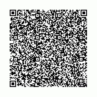 vCard 78787021387