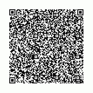 vCard 78787021388