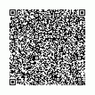 vCard 78787031177