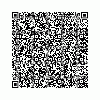 vCard 78787441009