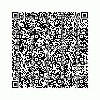 vCard 78787441033
