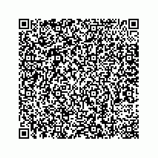vCard 78787441138