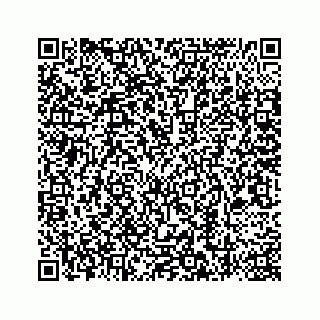 vCard 78787441193