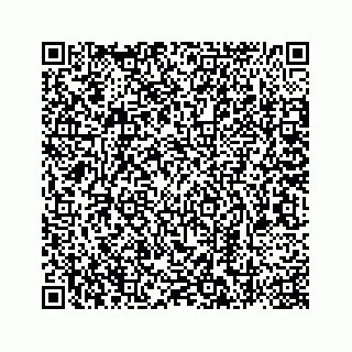 vCard 78787441203