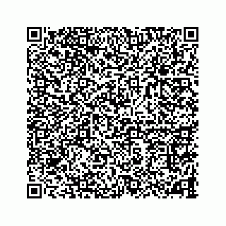 vCard 78787441216