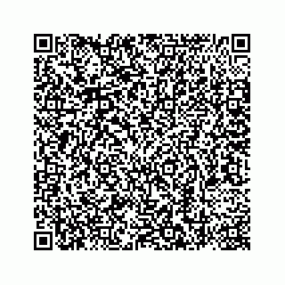 vCard 78787441253