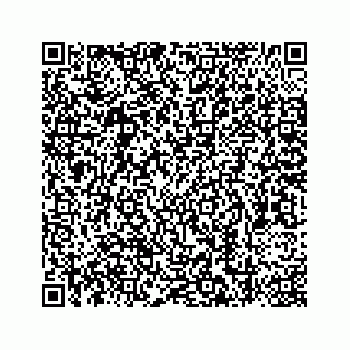 vCard 78787441261
