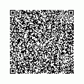 vCard 78787441287