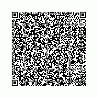 vCard 78787441295