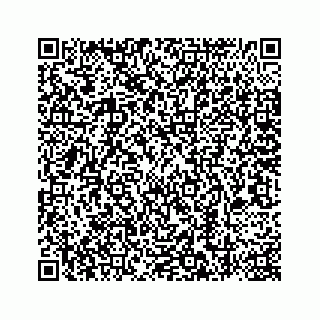 vCard 78787441299