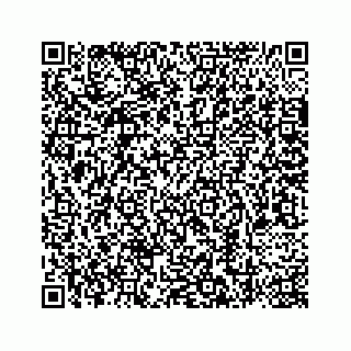 vCard 78787441300